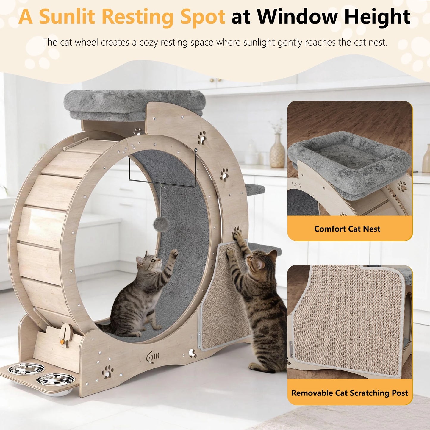 7-In-1 Cat Exercise Wheel, 40" Cat Running Wheel for Indoor Cats