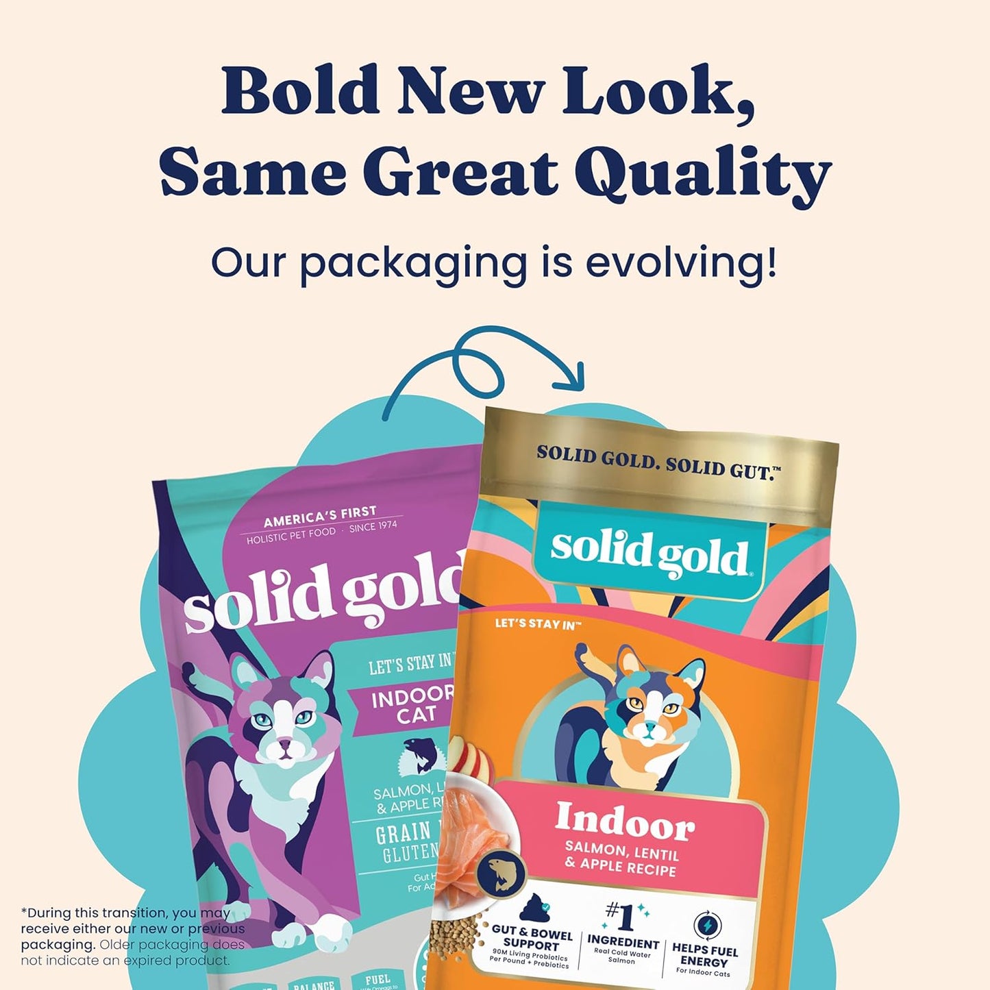 Solid Gold Indoor Dry Cat Food - Grain Free & Gluten Free - Salmon Cat Food Dry Kibble for Indoor Cats for Gut Health - Sensitive Stomach & Hairball Support for Adult Cats - 12LB