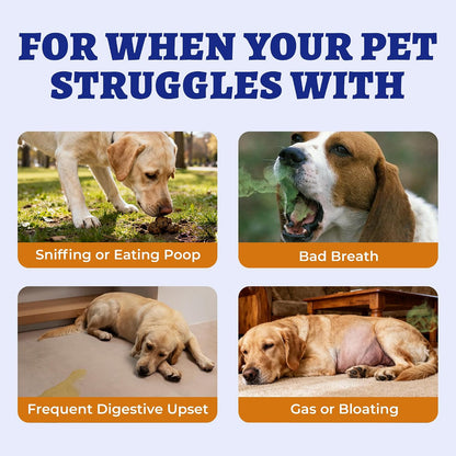 260 Bites No Poo Chews for Dogs Coprophagia Relief with Probiotics | Stool Eating Deterrent for Dogs - Chicken & Pumpkin Flavor Supports Digestive & Gut Health, Breath Freshener & Immune System