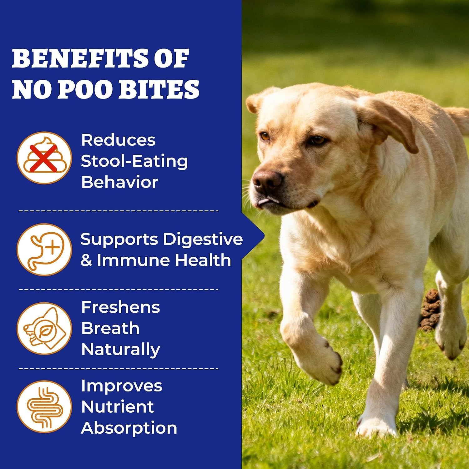 260 Bites No Poo Chews for Dogs Coprophagia Relief with Probiotics | Stool Eating Deterrent for Dogs - Chicken & Pumpkin Flavor Supports Digestive & Gut Health, Breath Freshener & Immune System