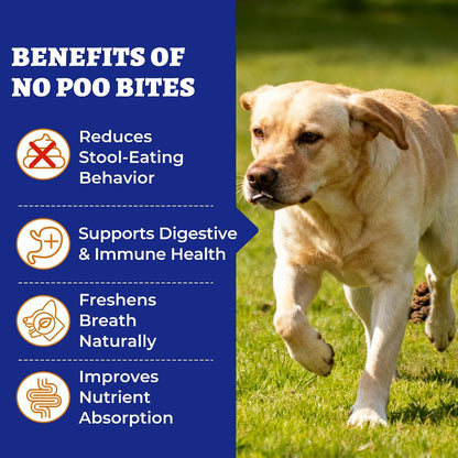 260 Bites No Poo Chews for Dogs Coprophagia Relief with Probiotics | Stool Eating Deterrent for Dogs - Chicken & Pumpkin Flavor Supports Digestive & Gut Health, Breath Freshener & Immune System