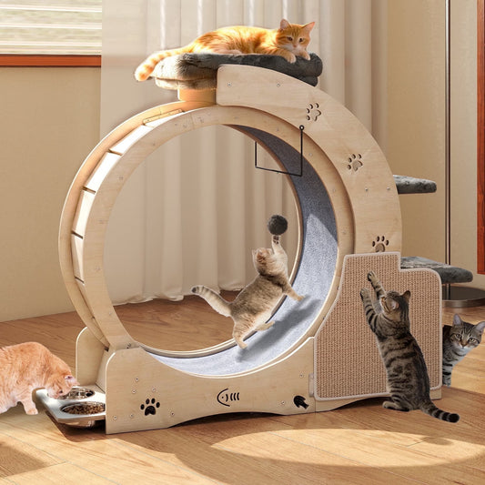 7-In-1 Cat Exercise Wheel, 40" Cat Running Wheel for Indoor Cats