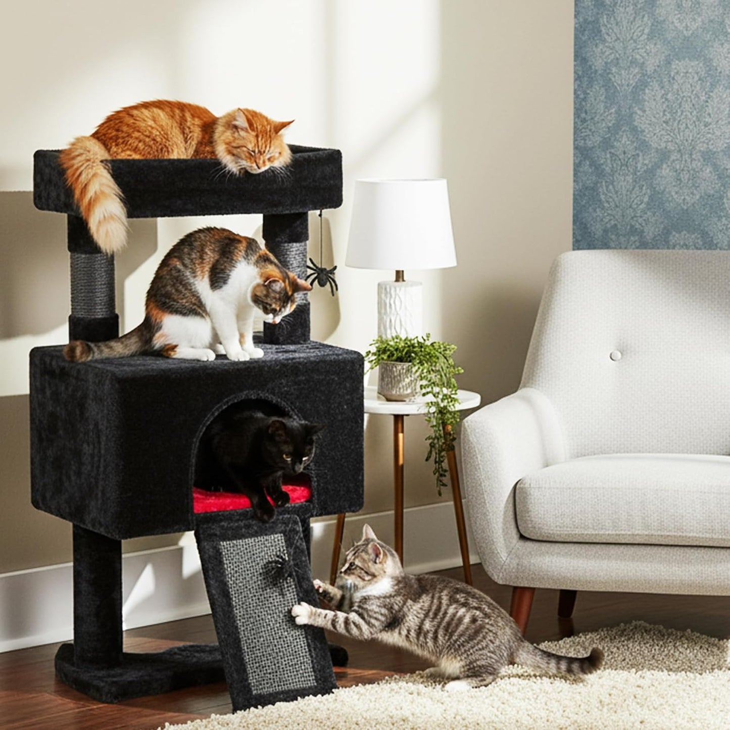 Cat Tree Tower for Indoor Cats, Gothic Cat Trees with Coffin Bed | Goth Cat Tree/Condo/House with Scratching Posts, Cat Shelves with Spider Toy, Pet Play Activity Center Black with Red MMJ95R