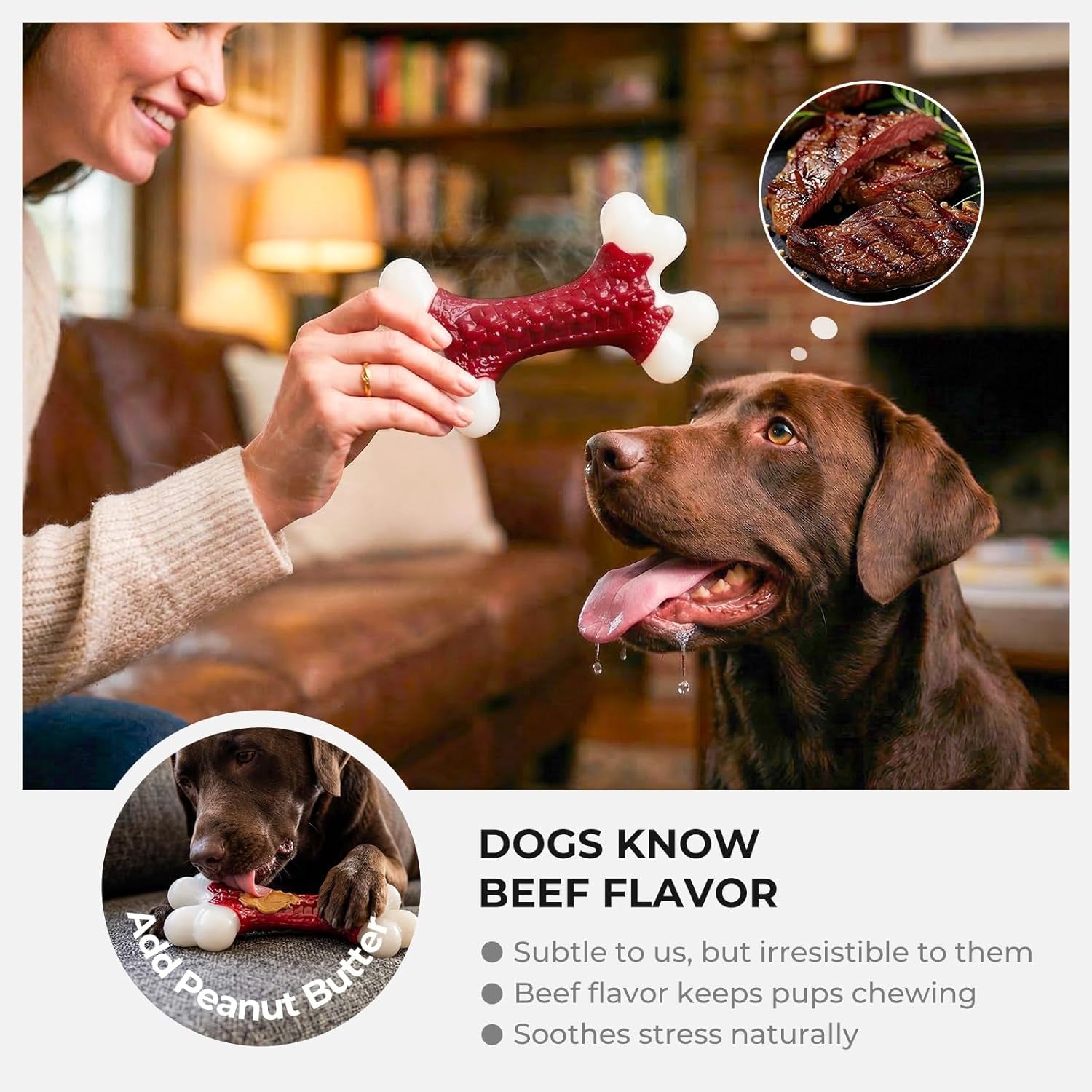 10-Pack Dog Chew Toys, Red, Beef Flavored, Large Dogs | Indestructible for Aggressive Chewers, Hard Nylon Bone, Tough Chew Toys, Keeps Dogs Busy, Medium to Large Breed