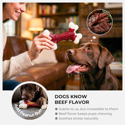 10-Pack Dog Chew Toys, Red, Beef Flavored, Large Dogs | Indestructible for Aggressive Chewers, Hard Nylon Bone, Tough Chew Toys, Keeps Dogs Busy, Medium to Large Breed
