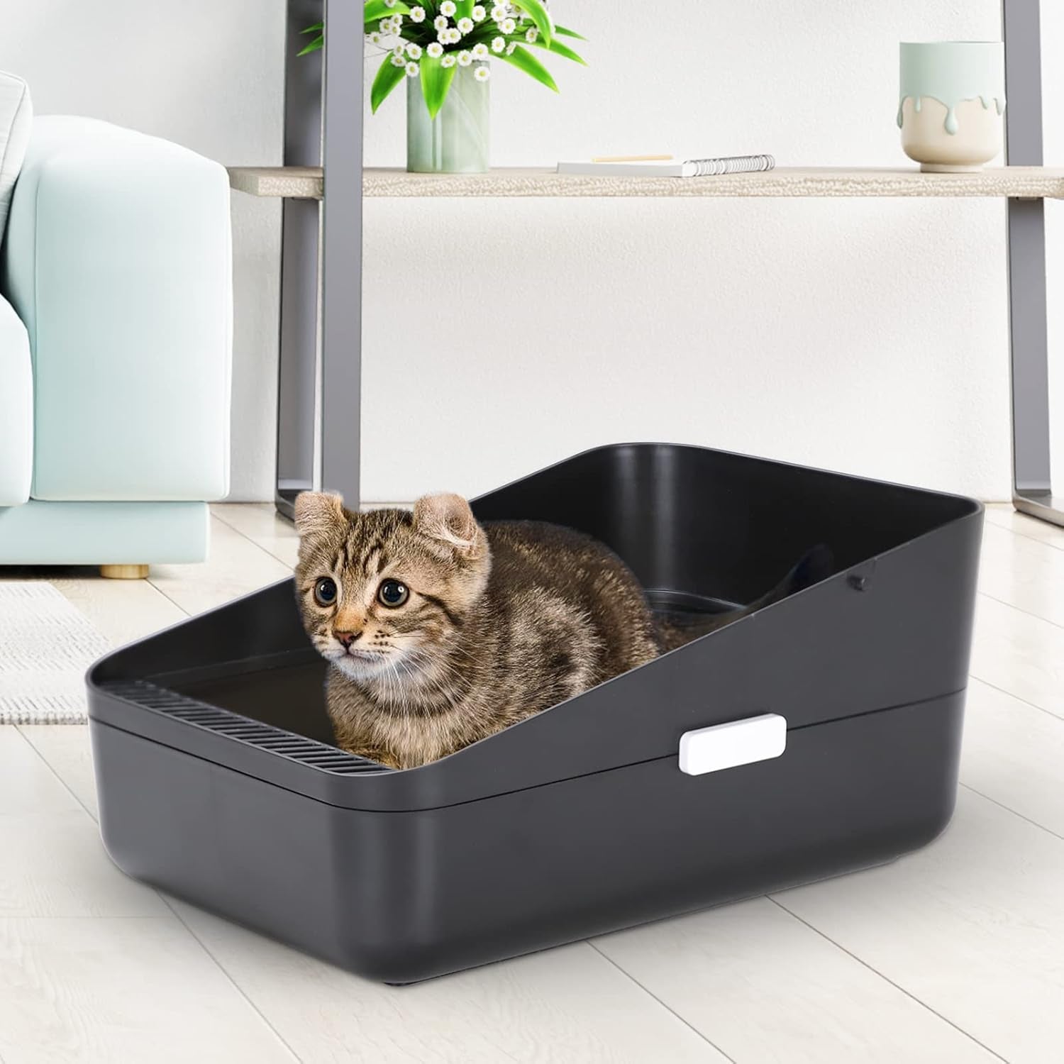 Small Cat Litter Box: Leak Resistant Removable Tray Modern Style | Cats under 8 Lbs/ anti Tracking Pedal / Easy Cleaning / Apartment Friendly/ Minimalist Black Look