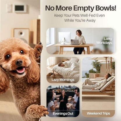 Automatic Pet Feeder & Waterer Set of 2 Pack, Self Feeding Replenish Dog Cat Bowls, Gravity Food & Water Storage Container Fountain Jug Pet Supplies Plastic Skid Proof Rubber Feet (3 Gallon)