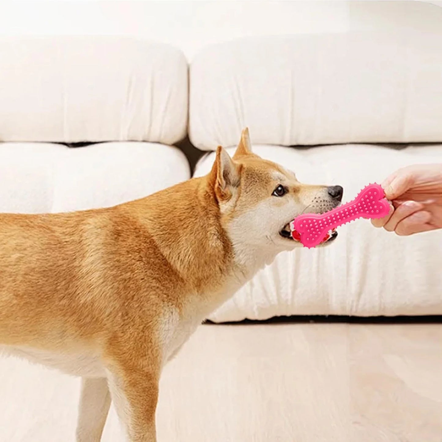 Dog Chew Toys 3PCS Rubber Toothbrush Toys 4.3 Inch Bone Shape for Small and Medium Dogs Coffee Warmers Mats Puppy Christmas Big Dog for Large Dogs Aggressive Chewers Hard Rubber for Dogs Xmas Dog For