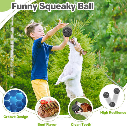 Indestructible Squeaky Dog Balls Puppy Toys, Interactive Dog Toys for Small Dogs, Puppy Chew Toys for Teething and Relax, Dogs Chew Toy Balls Small Toys for Small Breed