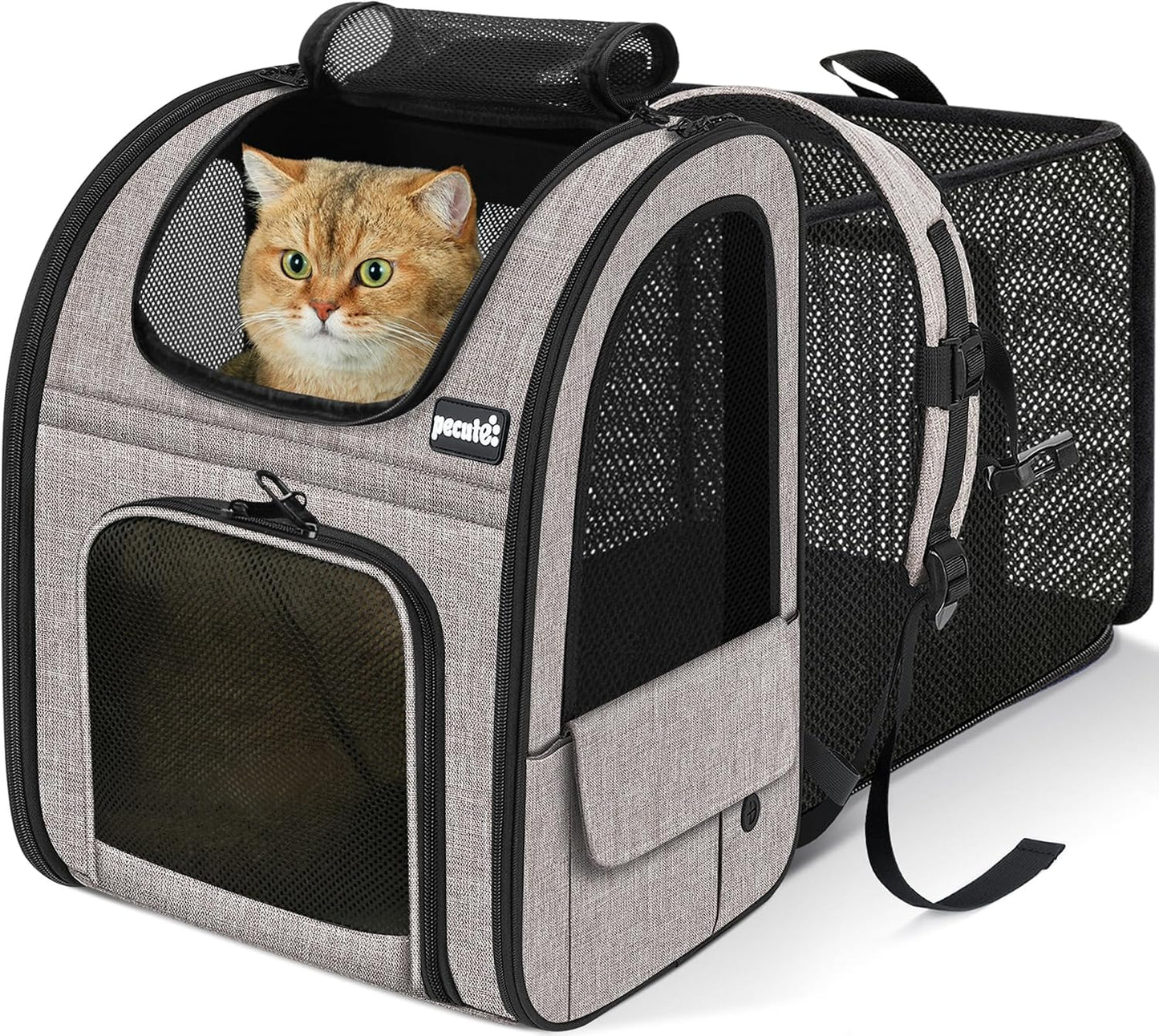 Cat Backpack Expandable, Cat Backpack for Cat with Breathable Window | Durable Oxford Cloth, Lockable Zipper,Use for Pet under 11 Lbs to Travel