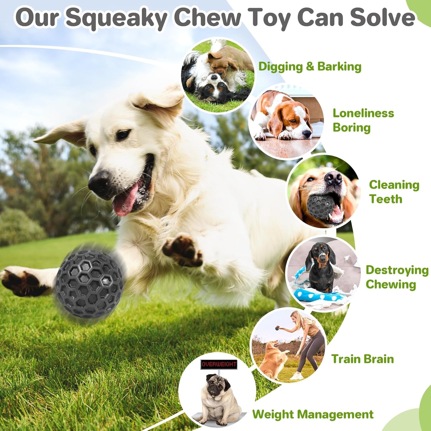 Indestructible Squeaky Dog Balls Puppy Toys, Interactive Dog Toys for Small Dogs, Puppy Chew Toys for Teething and Relax, Dogs Chew Toy Balls Small Toys for Small Breed