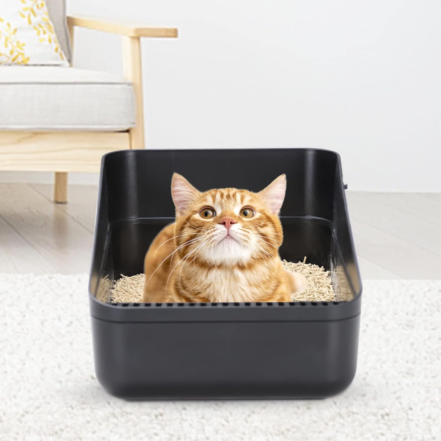 Small Cat Litter Box: Leak Resistant Removable Tray Modern Style | Cats under 8 Lbs/ anti Tracking Pedal / Easy Cleaning / Apartment Friendly/ Minimalist Black Look