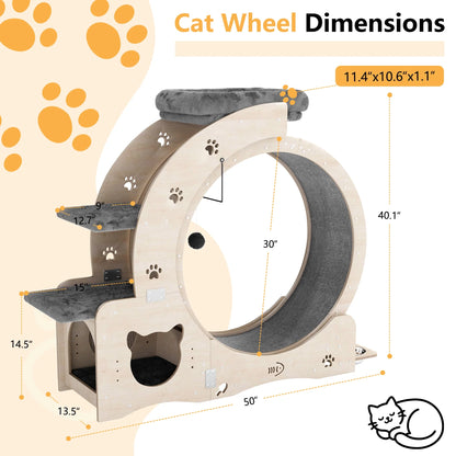 7-In-1 Cat Exercise Wheel, 40" Cat Running Wheel for Indoor Cats