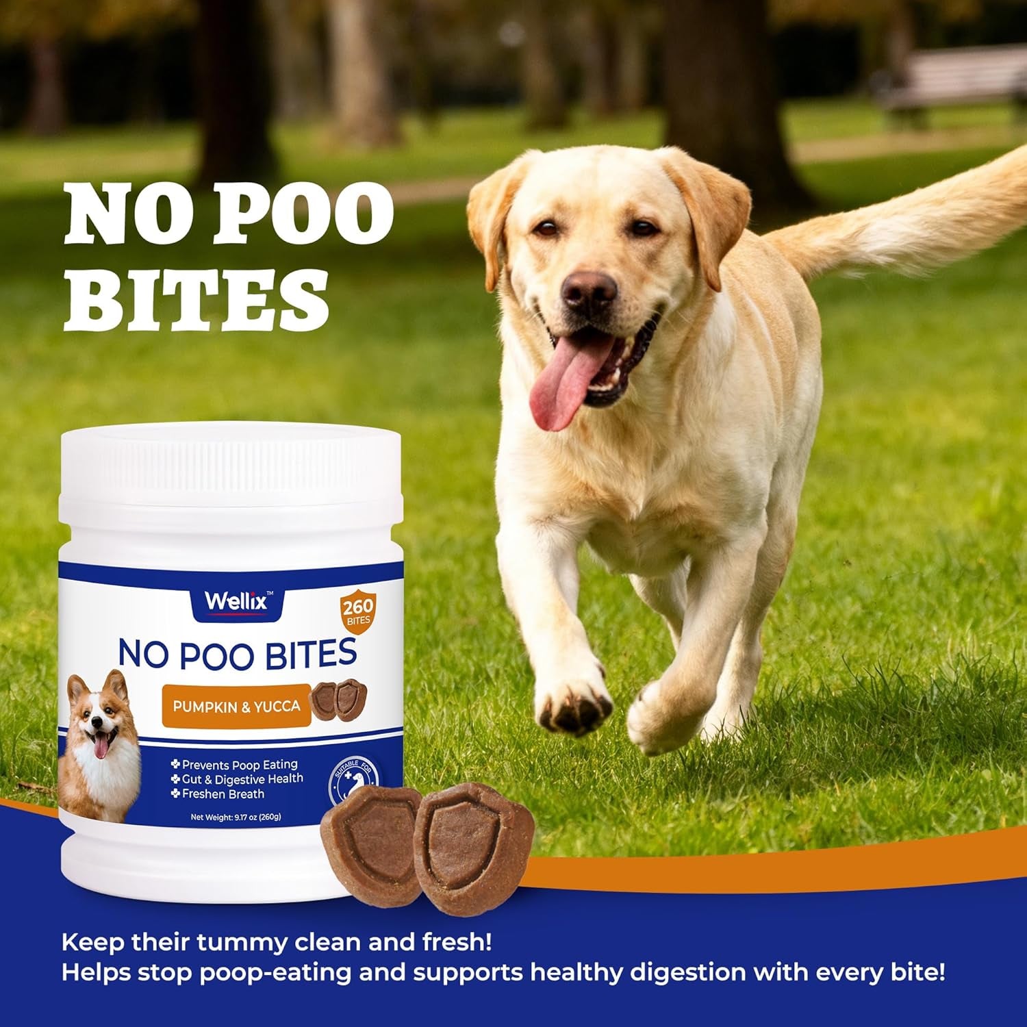 260 Bites No Poo Chews for Dogs Coprophagia Relief with Probiotics | Stool Eating Deterrent for Dogs - Chicken & Pumpkin Flavor Supports Digestive & Gut Health, Breath Freshener & Immune System